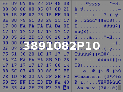 3891082P10