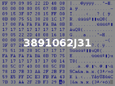 3891062J31