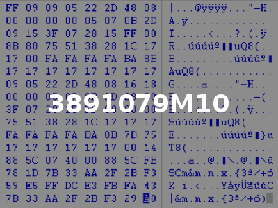 3891079M10
