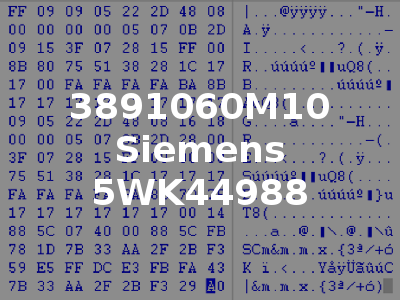 3891060M10 Siemens 5WK44988