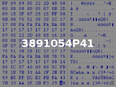 3891054P41