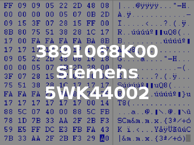 3891068K00 Siemens 5WK44002