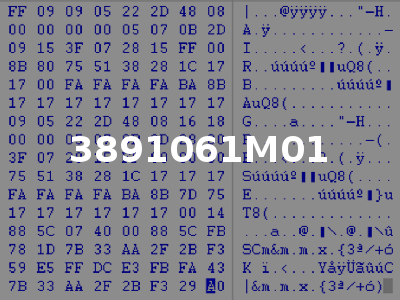 3891061M01