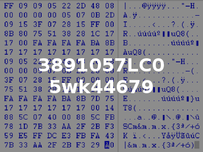 3891057LC0 5wk44679