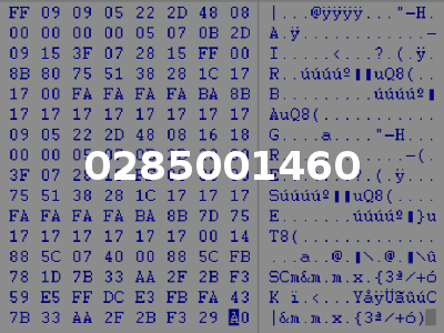 0285001460