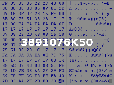 3891076K50