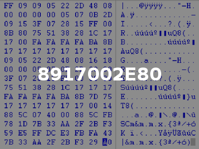 8917002E80