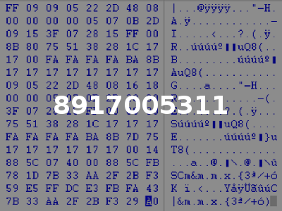 8917005311