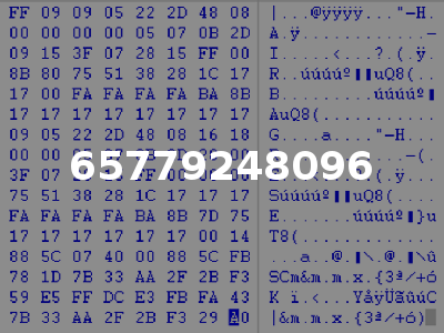 65779248096