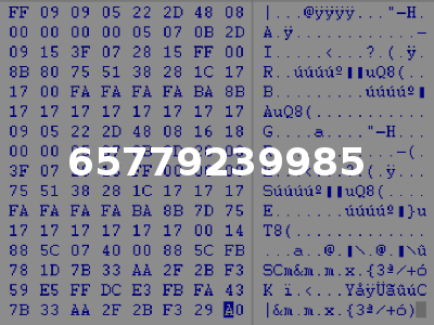 65779239985