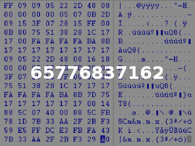 65776837162