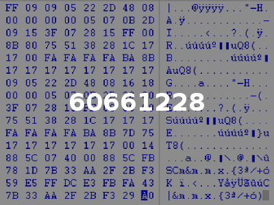 60661228
