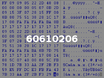 60610206