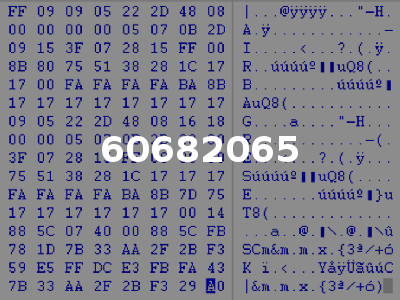 60682065