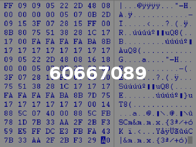 60667089