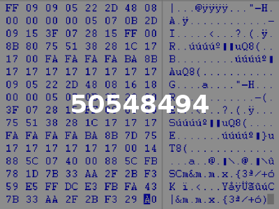 50548494