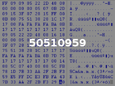 50510959