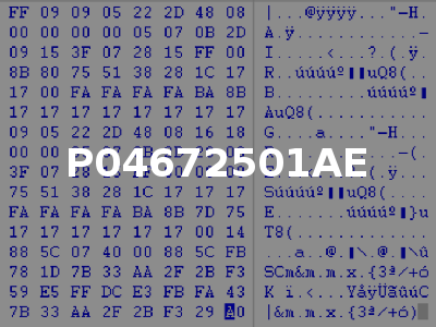 P04672501AE