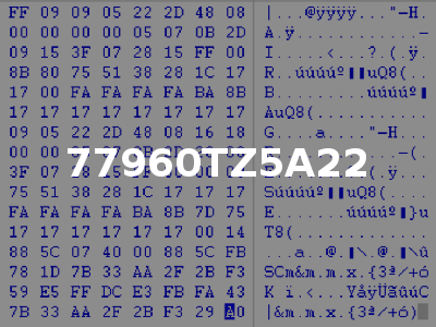 77960TZ5A22