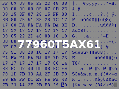 77960T5AX61