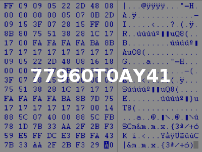 77960T0AY41