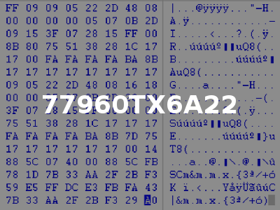 77960TX6A22