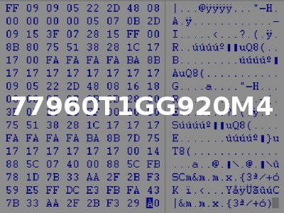 77960T1GG920M4
