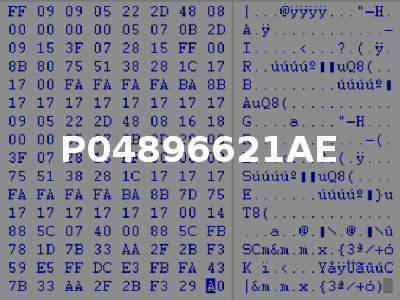 P04896621AE