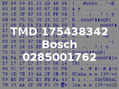 TMD 175438342 Bosch 0285001762
