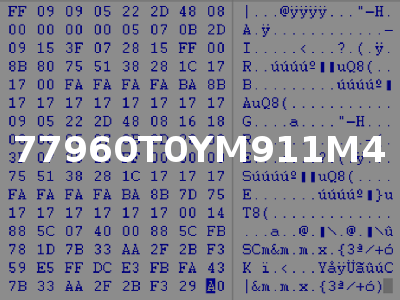 77960T0YM911M4
