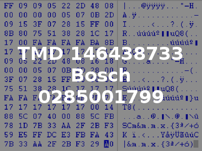 TMD 146438733 Bosch 0285001799
