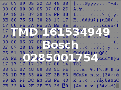 TMD 161534949 Bosch 0285001754