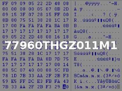 77960THGZ011M1