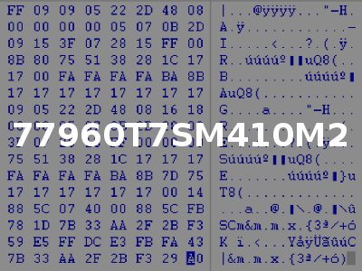77960T7SM410M2