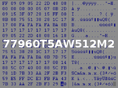 77960T5AW512M2