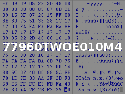 77960TWOE010M4