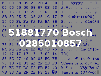 51881770 Bosch 0285010857
