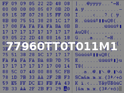 77960TT0T011M1