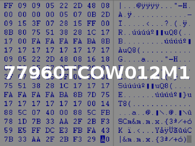 77960TCOW012M1