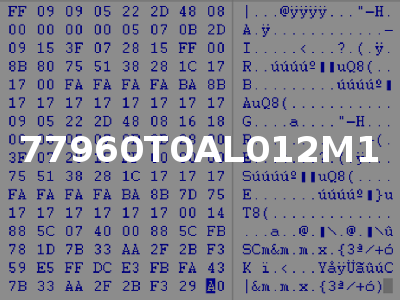 77960T0AL012M1