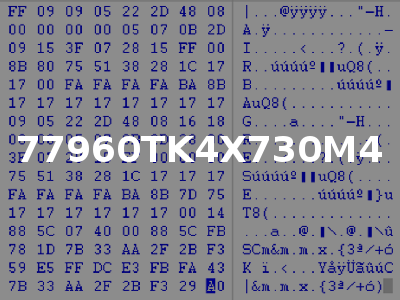 77960TK4X730M4