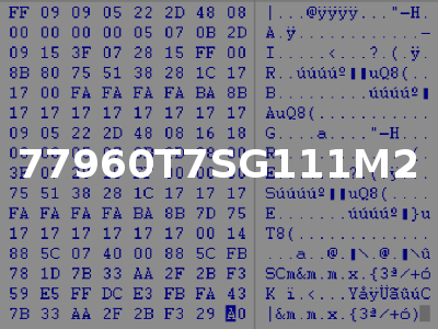 77960T7SG111M2