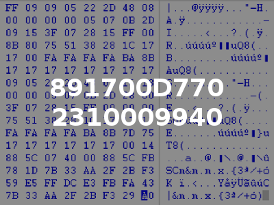 891700D770 2310009940