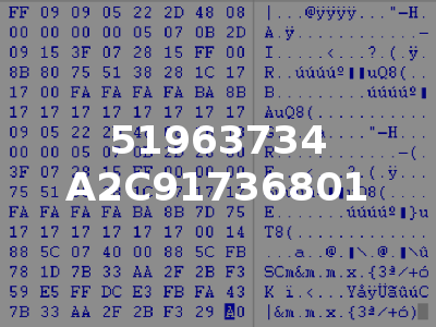 51963734 A2C91736801