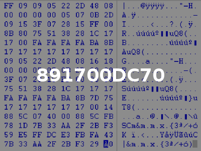 891700DC70
