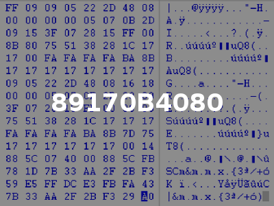 89170B4080