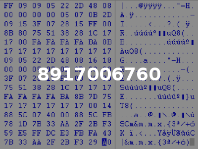 8917006760