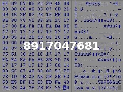 8917047681