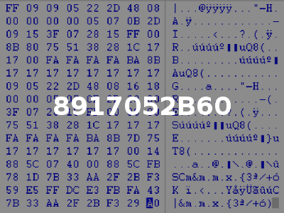 8917052B60
