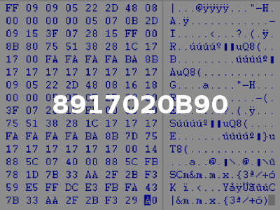 8917020B90